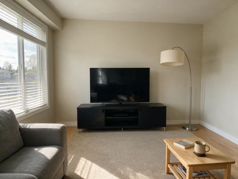 Example of the kind of photo people send: a plain living room with a beige wall, a television on a low black stand, a floor lamp, a grey sofa and a window with a blind. This example room is a render, not a real home.